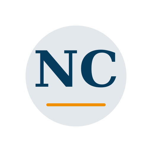 Noxel Chimney Services logo